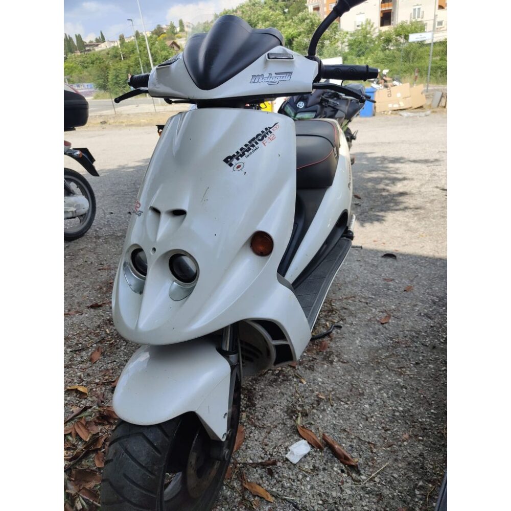 MALAGUTI F12 100 del 1999
