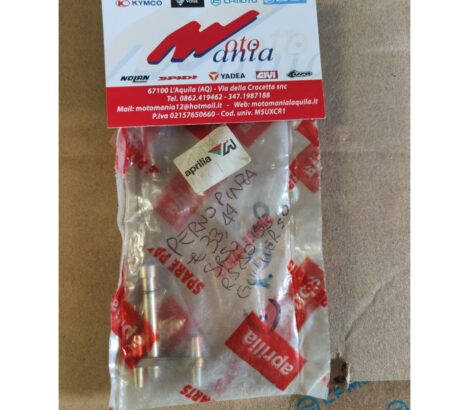 PERNO PINZA APRILIA AP8213198