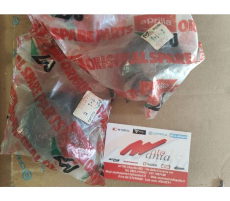 PARAPOLVERE ESTERNO CON DENTE APRILIA PEGASO AP8123290