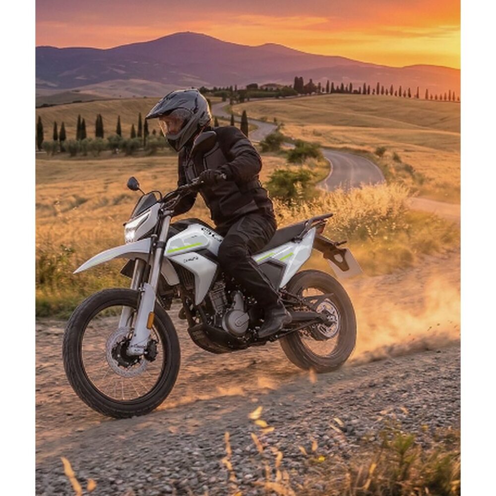 CFMOTO 250DUAL